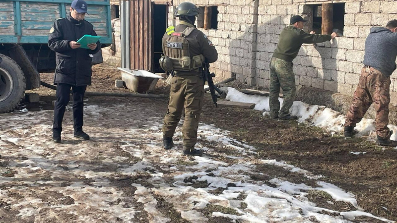 Туннель в 450 метров выкопали контрабандисты на казахстанско-узбекской границе